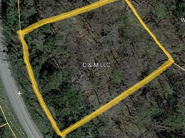 Iron Gate Dr, Baneberry, TN 37890