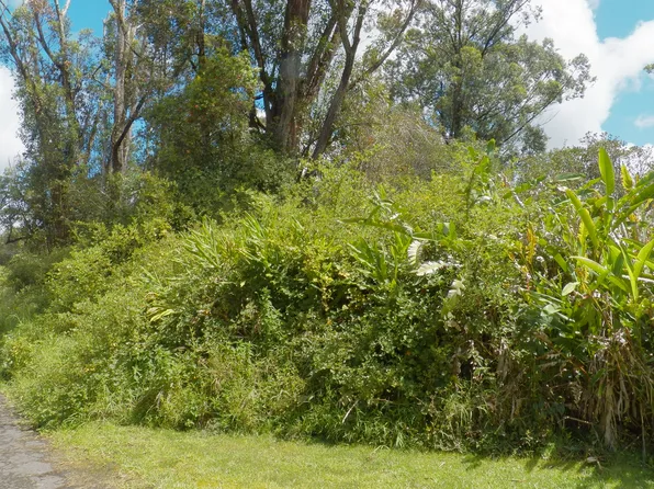 Hinuhinu St Lot 85, Volcano, HI 96785