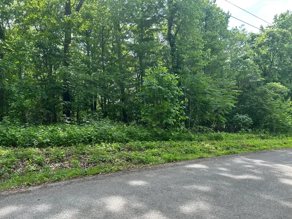 LOT 9 Clint Williams Rd, Rutledge, TN 37861
