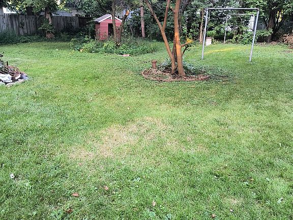 Large yard