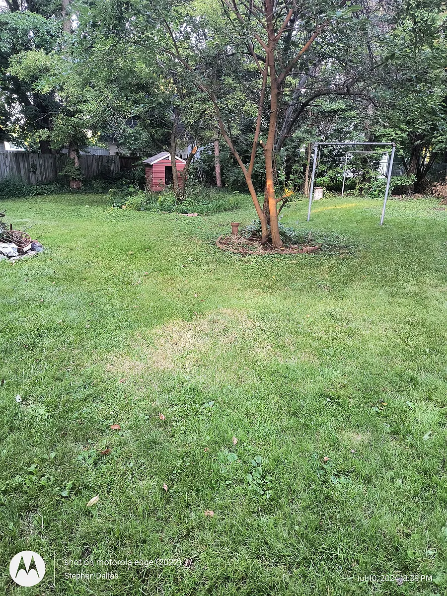 Large yard - 206 N Berkley St