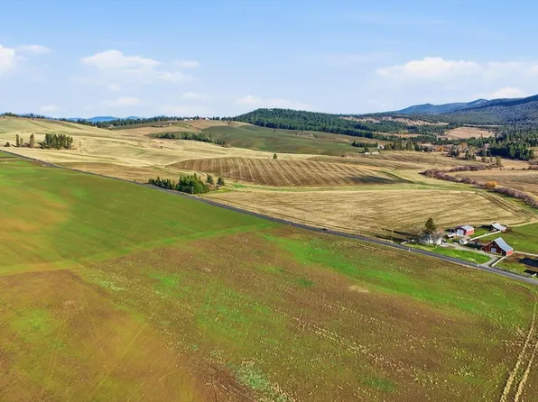 10604 S Jackson Rd, Mica, WA 99023