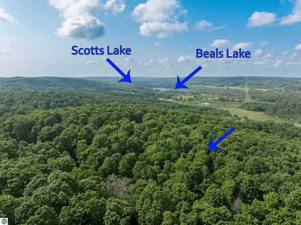 891 N Skinkle Rd, East Jordan, MI 49727