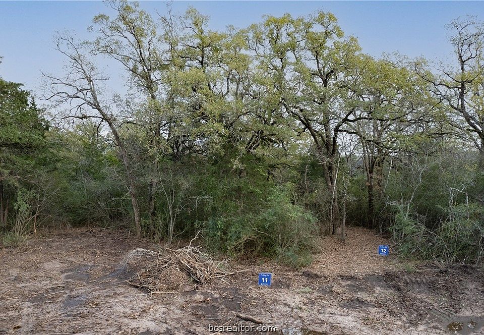 1st image of 3005 Silverbell Ct