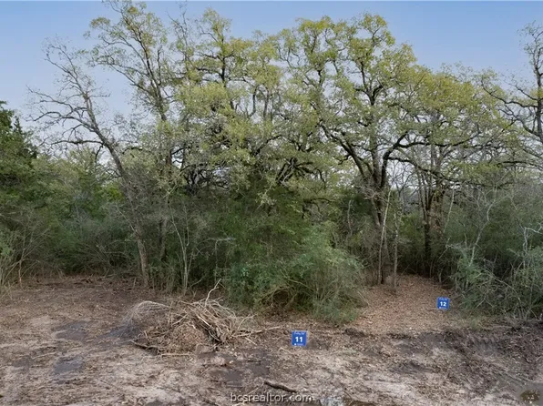 3005 Silverbell Ct, Bryan, TX 77807