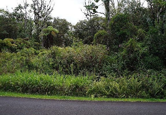 4th image of 13-3522 Maile St Lot 45