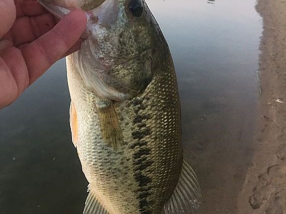 5th image of N8149 Castaway Dr