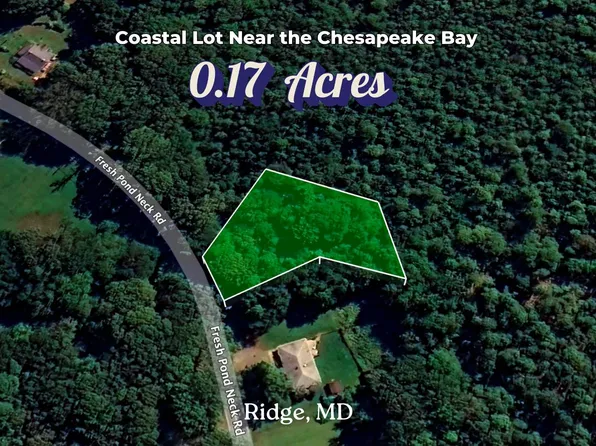49701 Fresh Pond Neck Rd, Scotland, MD 20687