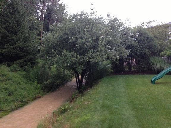 5th image of 4251 Cliffview Dr