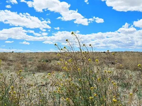 E 2nd Ln #67, Willcox, AZ 85643