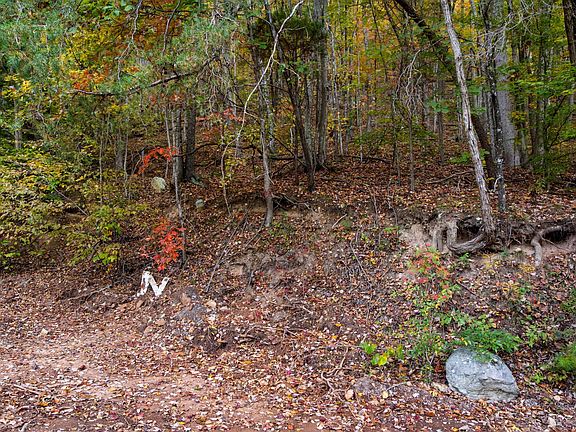 4th image of 0 Clouds Creek Rd