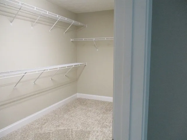9795 Yellow Pine Rd — Photo 15