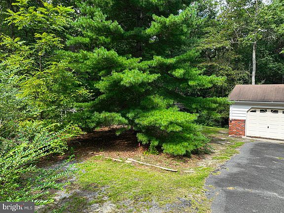 5th image of 10883 Old Furnace Rd