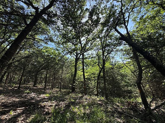 4th image of 144 Cedar Oak Dr