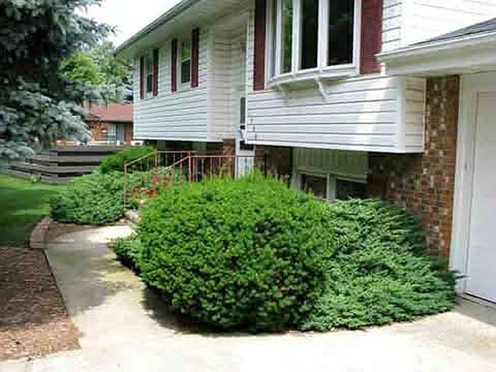 1706 Erin Dr - Property Image