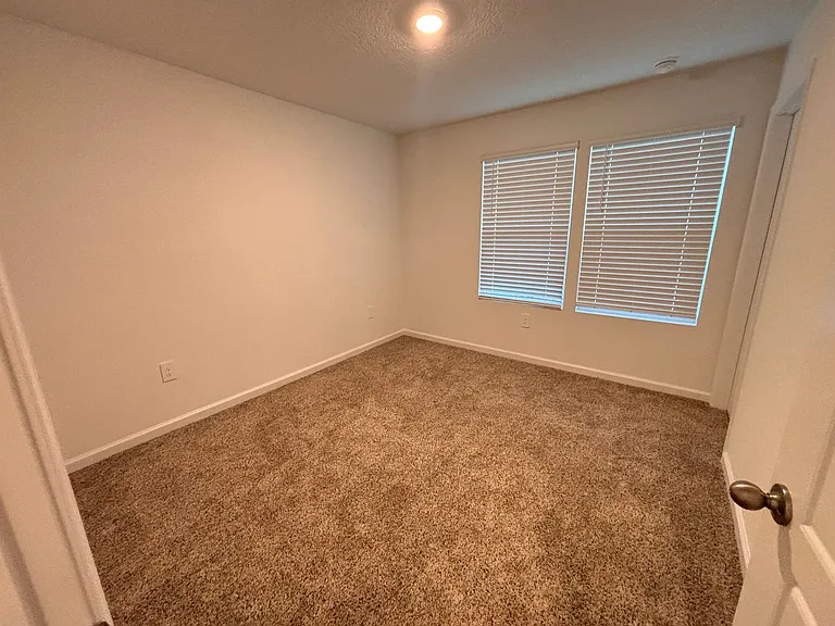 284 Palmetto Ridge Rd — Photo 17