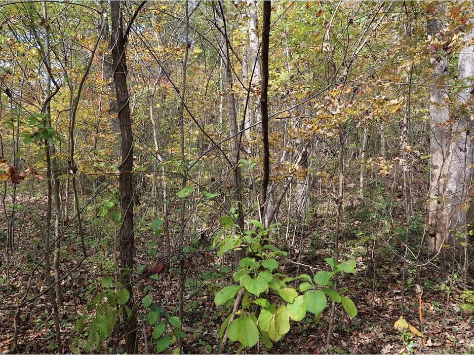 1st image of 5441 Highway 126