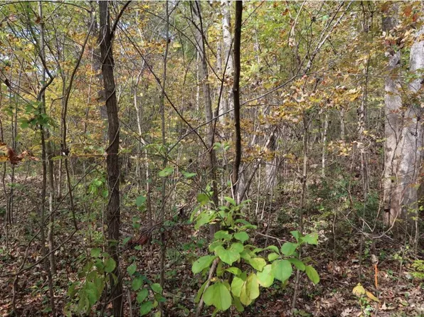 5441 Highway 126, Blountville, TN 37617