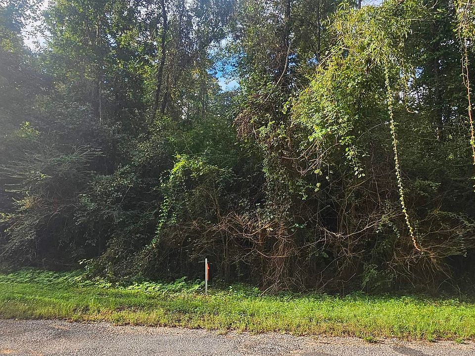 2nd image of Valley Xing