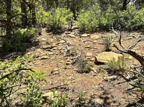 Xx Camino Cyn, Pie Town, NM 87827