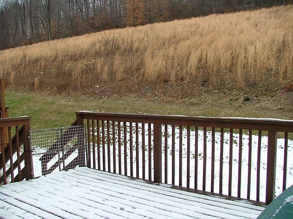 Huge deck backing to open space.
