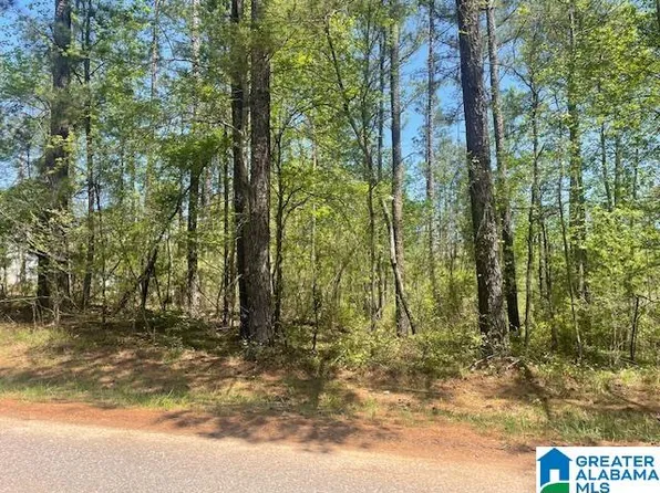 16 County Road 6 #16, Wedowee, AL 36278