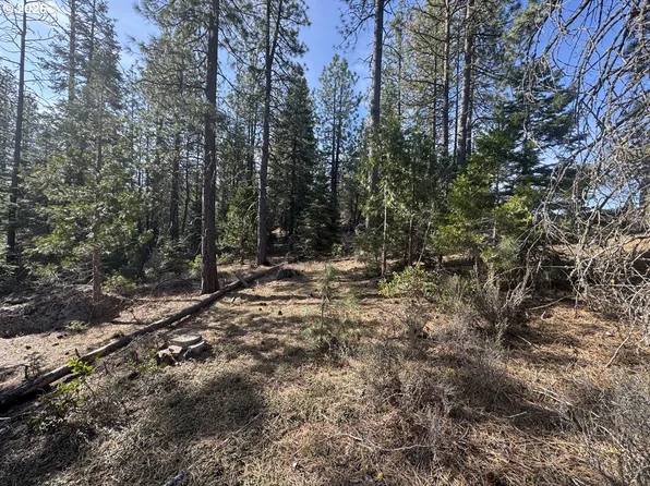 Cardinal Dr #4, Bonanza, OR 97623