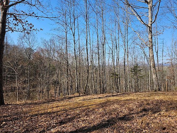 2nd image of Tiny Homes Ln