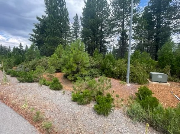 121 Frostwood Ln, Westwood, CA 96137