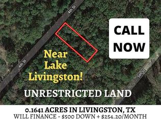 4th St, Livingston, TX 77351