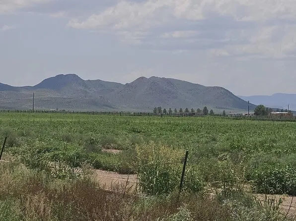 20 Acres S ROBISON Road #5, Willcox, AZ 85643