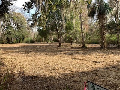 Fern Gully Cv, Winter Park, FL, 32792