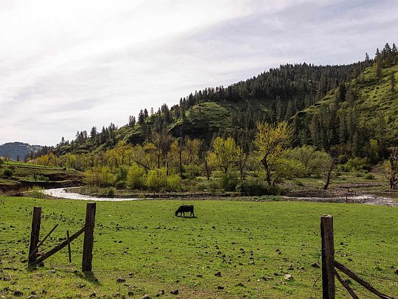 5th image of 259 Cottonwood Creek Rd