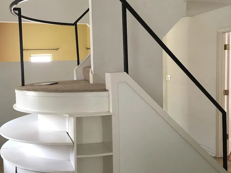804 Austin Ave — Photo 5
