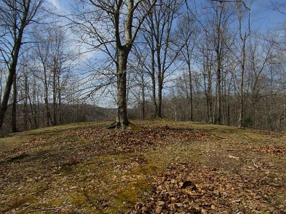 3rd image of 17.63AC Hickory Ln Lot 4