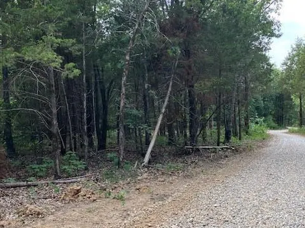 7 Simms Rd, Park Hills, MO 63601