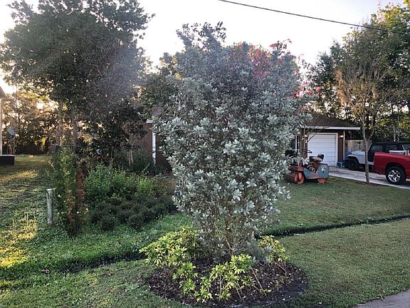3rd image of 572 Koala Dr