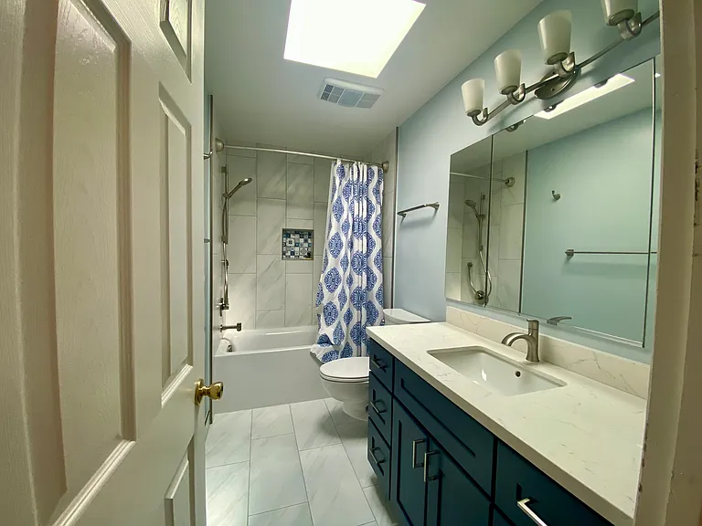 Hall Bathroom shower over tub