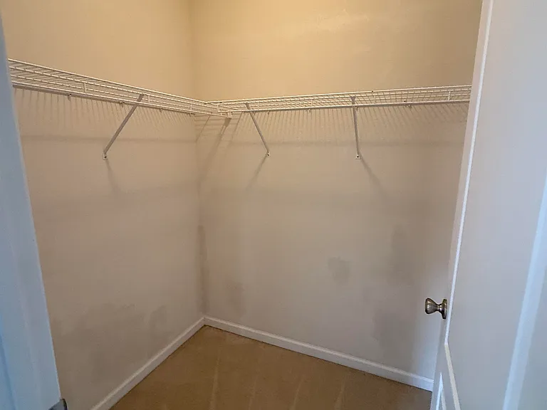 4203 Old Plantation Loop — Photo 18