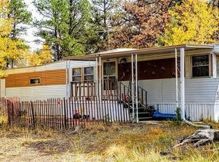 468 Crystal Peak Dr, Lake George, CO 80827