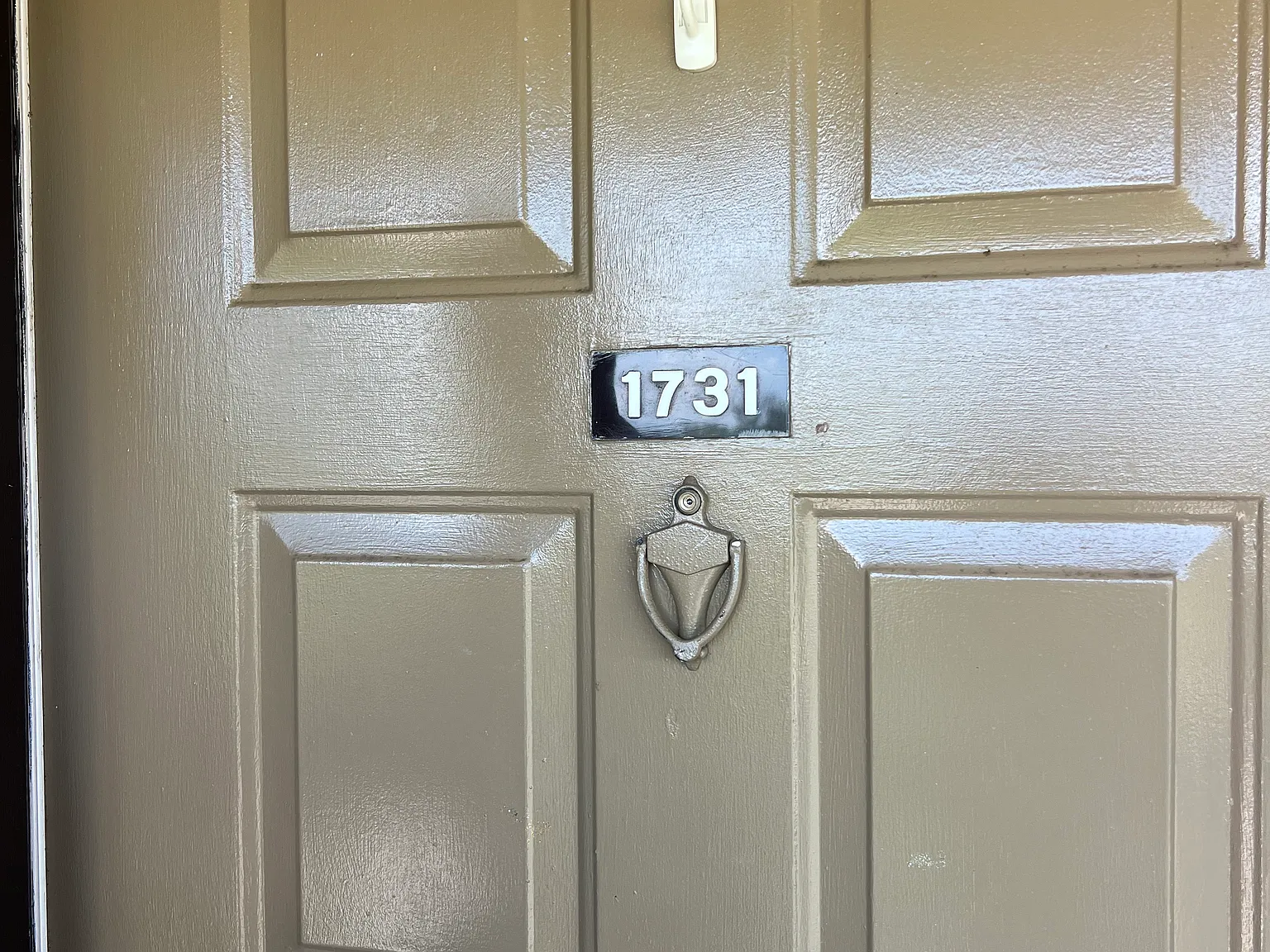 2 bed, 1300 sqft, $1,850 — Photo 2