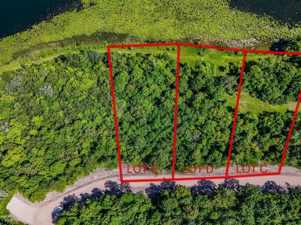 290XX N Buffalo Lake Rd E, Callaway, MN 56521