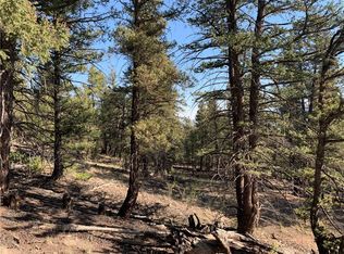 1853 Redhill Rd, Fairplay, CO 80440