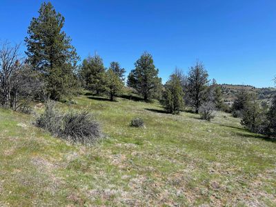 Willit Way UNIT 5, Montague, CA, 96064