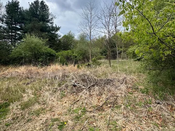 Middle Cove Rd, Mathias, WV 26812