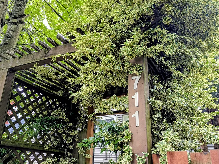 Property front gate