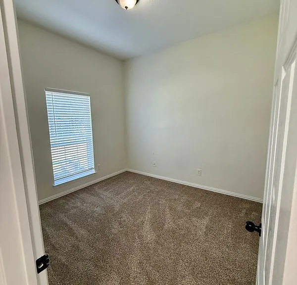 309 Catherine St — Photo 25