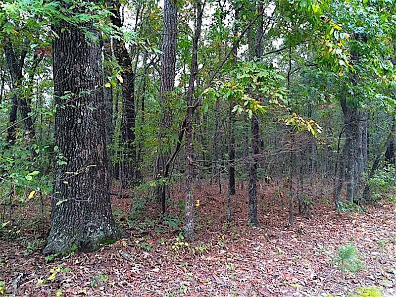 2nd image of Vaughn Rd