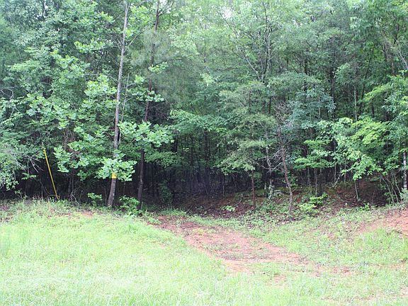 5th image of 393 Goldmine Rd