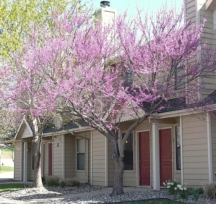 Lorimar Townhomes — Photo 2